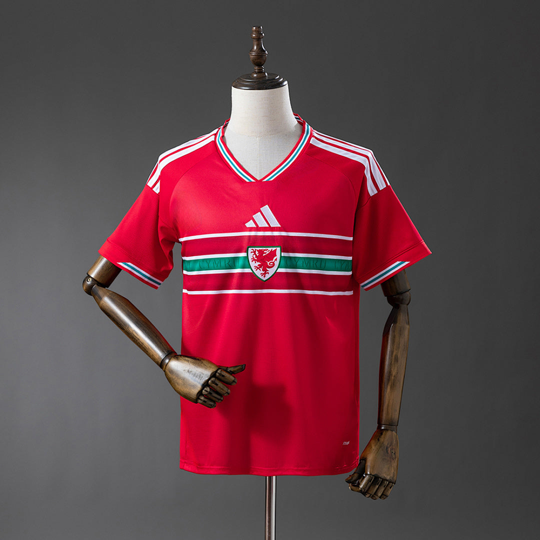 WALES WORLD CUP I 2026 MAN